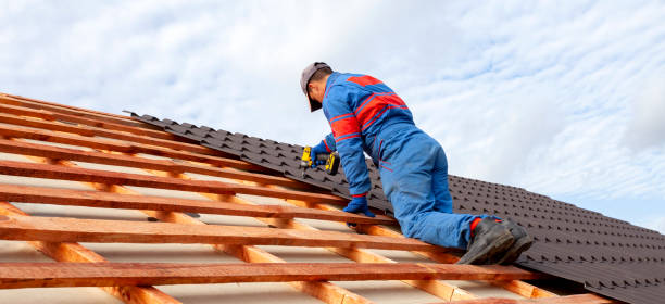 Best Roof Moss and Algae Removal  in Fords, NJ